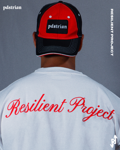 Resilient Project